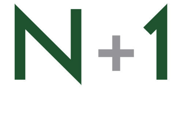 logo_N_1