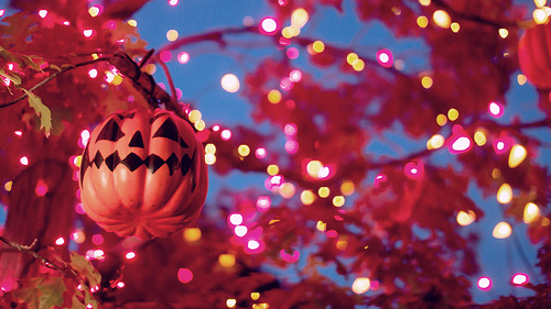 Calabaza, Halloween, miedo, luces, fiesta