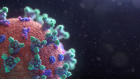 Coronavirus