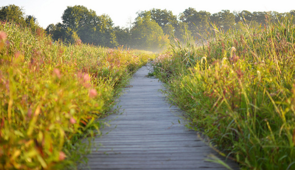 9594902971_e85b77ba59