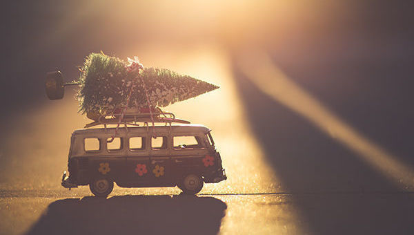 Caravana, Navidad, Volkswagen, árbol