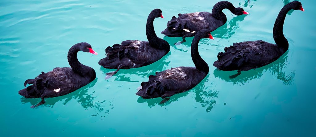 , Andbank lanza un fondo que busca protegerse frente a cisnes negros