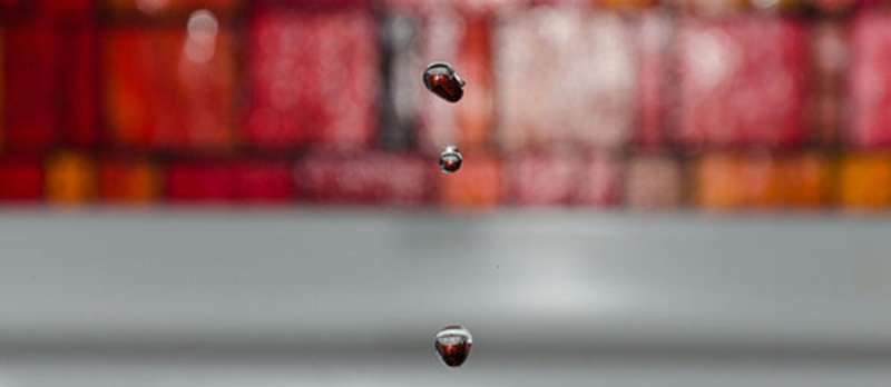 gota__agua__liquidez__flujos__2_