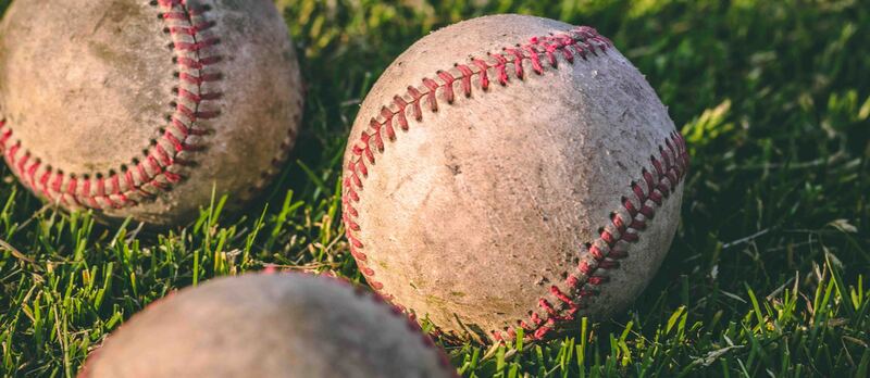 pexels steshkawillems 1308713 copia 2