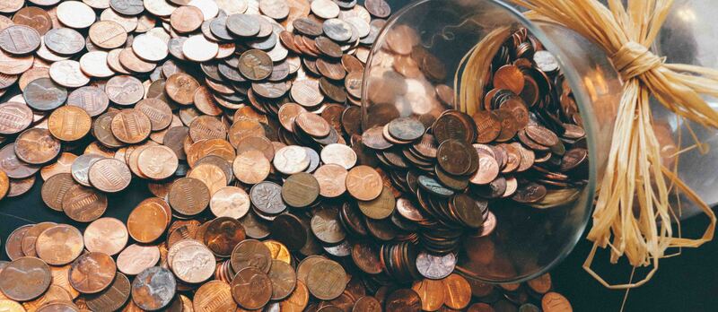 pexels pixabay 259165 copia 2