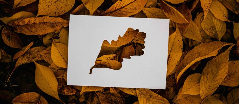 pexels marta wave 5876857 copia 2