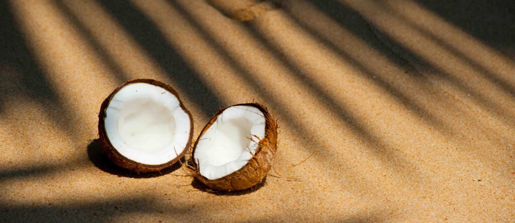 pexels freestockpro 322483 copia