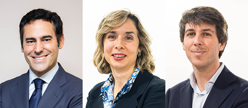 collage alterforum elena copia