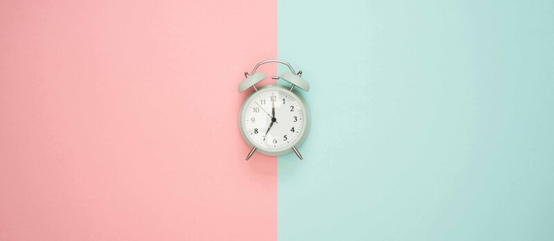 pexels moose photos 170195 1037993 copia 2