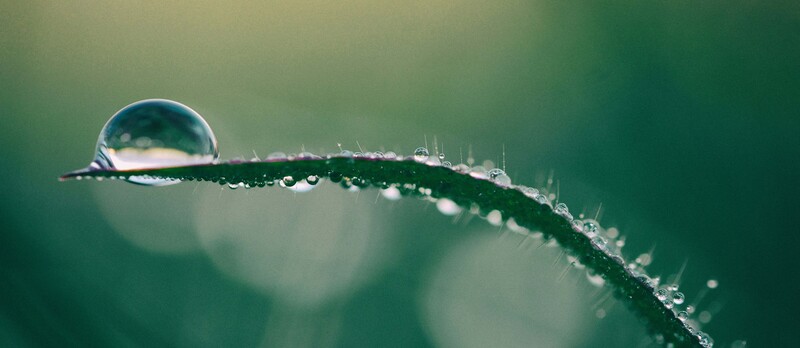 aaron burden Kp9z6zcUfGw unsplash copia 2