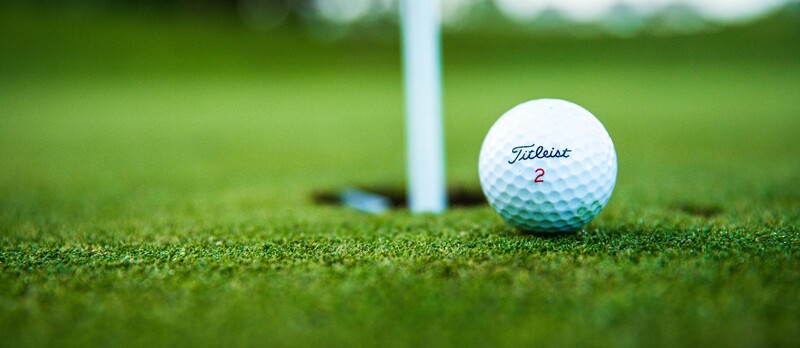 pexels thomasleeward 2828723 copia (1)