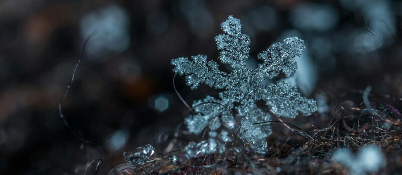 pexels ekamelev 813870 copia (1)