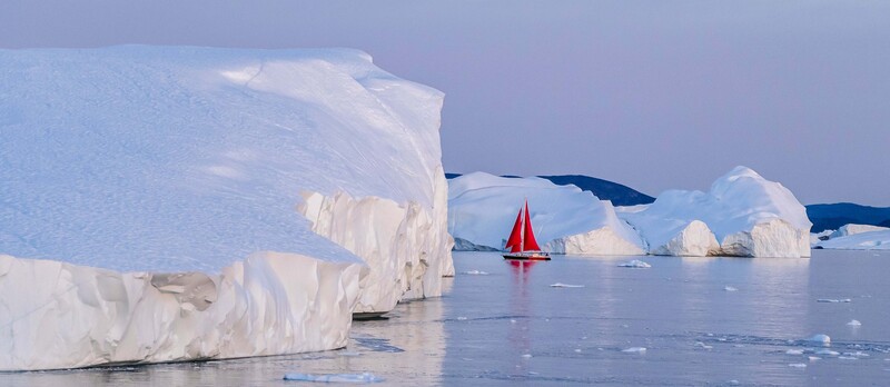 hector john periquin _szPDggb37o unsplash copia (1)