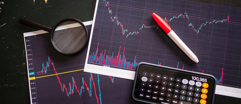 pexels rdne 7947707 copia (1)