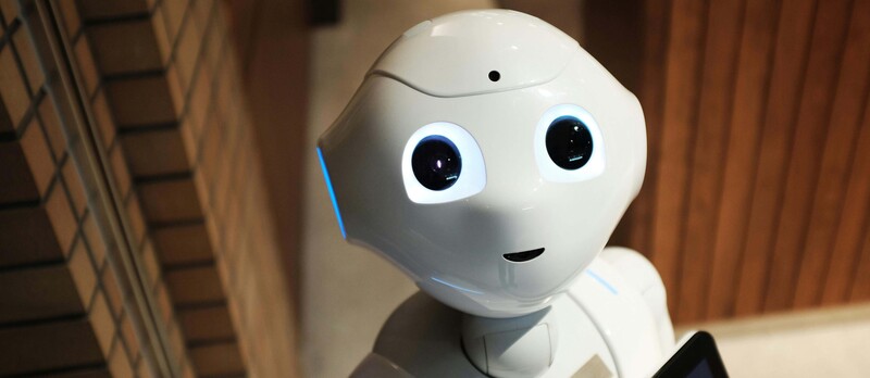 pexels agk42 2599244 copia (1)