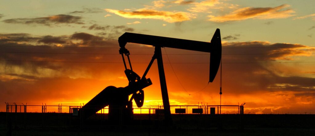 pexels janzakelj 16862261 copia