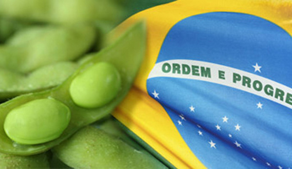 Brasil_bandeira_