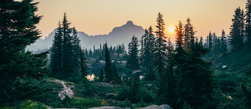 sustentabilidade ESG