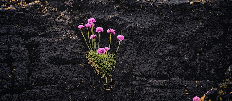 crescer crescimento aumento