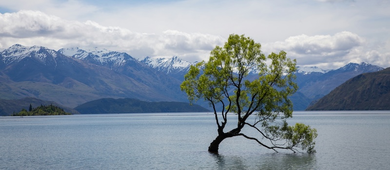 crescer aumento crescimento