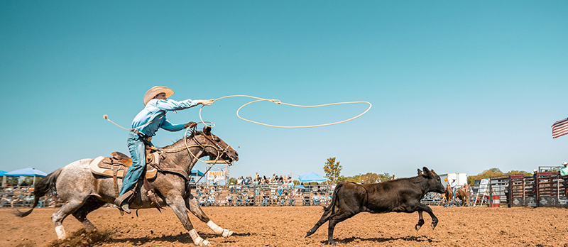 Xavier McLaren (Unsplash)