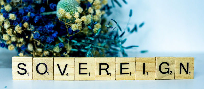 Fondi sovrani, Alex Shute (Unsplash)