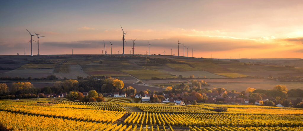 Unsplash renewables PMI