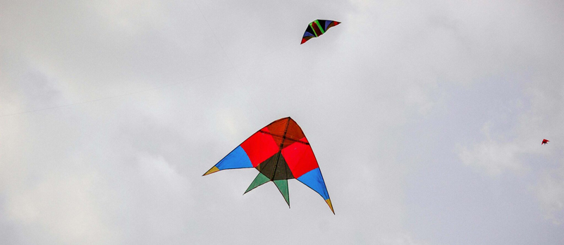 Acquilone, novità, volo, sviluppo,